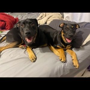 Meet your Posher, Jorge